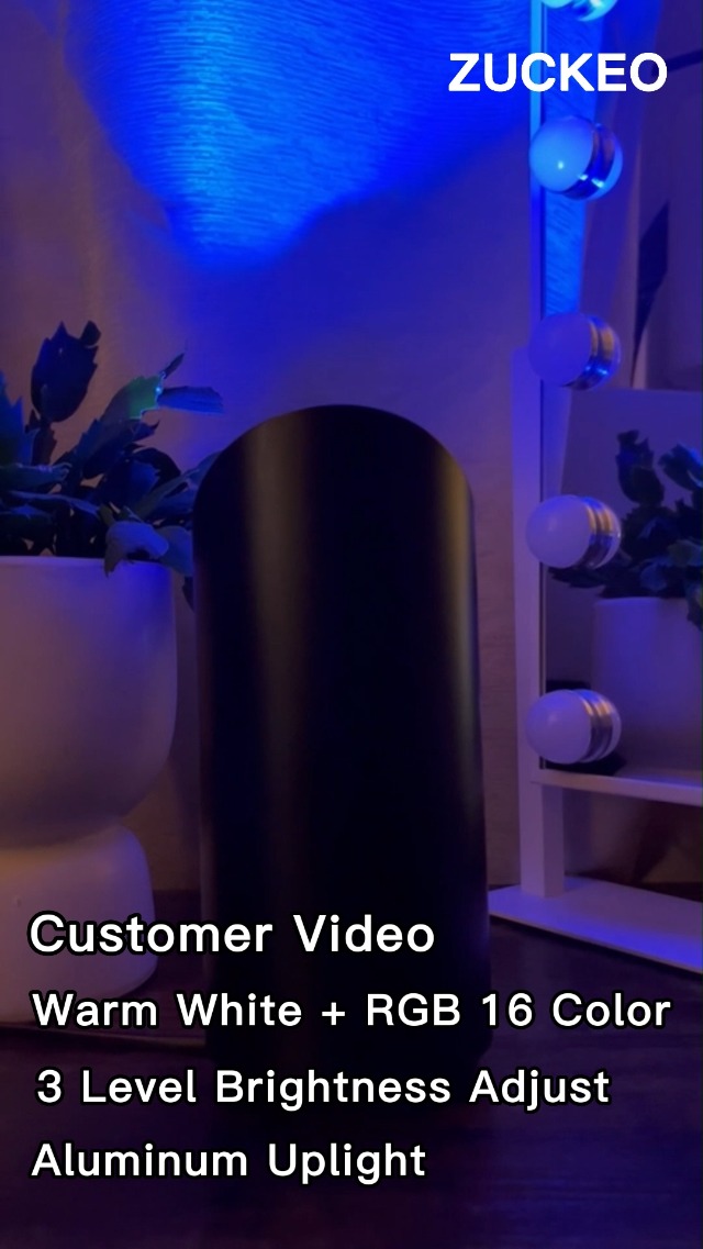 ZUCKEO Indoor Uplighting RGB Floor Can Light LED Spotlight